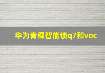 华为青稞智能锁q7和voc