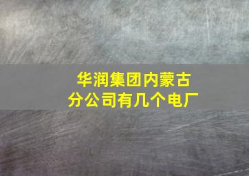 华润集团内蒙古分公司有几个电厂