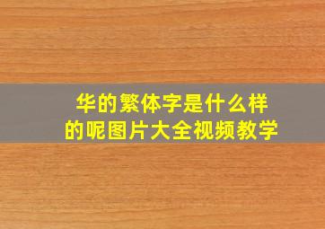 华的繁体字是什么样的呢图片大全视频教学