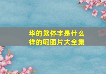 华的繁体字是什么样的呢图片大全集