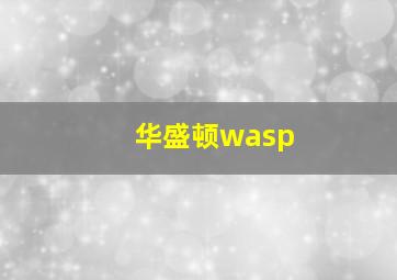 华盛顿wasp