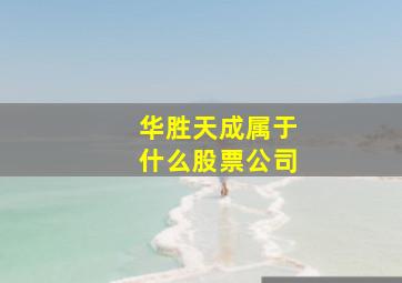 华胜天成属于什么股票公司