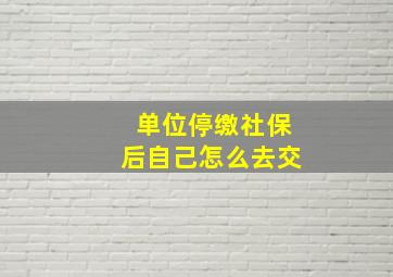 单位停缴社保后自己怎么去交