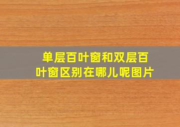 单层百叶窗和双层百叶窗区别在哪儿呢图片