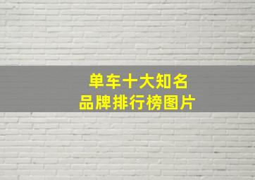 单车十大知名品牌排行榜图片