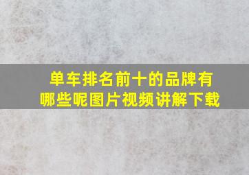 单车排名前十的品牌有哪些呢图片视频讲解下载