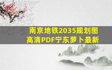 南京地铁2035规划图高清PDF宁东萝卜最新