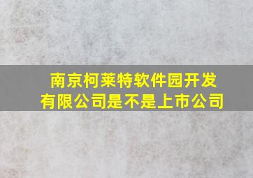 南京柯莱特软件园开发有限公司是不是上市公司