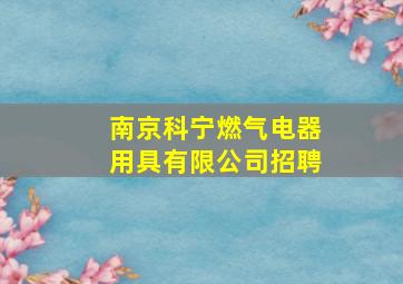 南京科宁燃气电器用具有限公司招聘