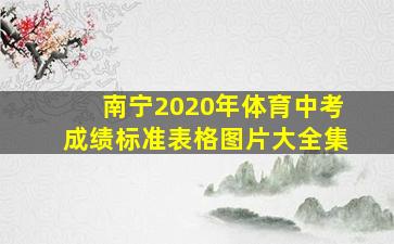 南宁2020年体育中考成绩标准表格图片大全集