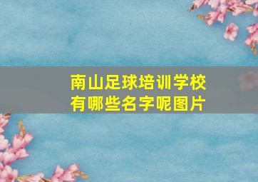 南山足球培训学校有哪些名字呢图片