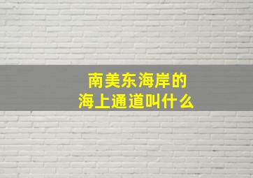 南美东海岸的海上通道叫什么