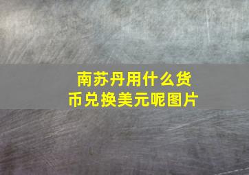 南苏丹用什么货币兑换美元呢图片