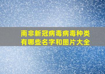 南非新冠病毒病毒种类有哪些名字和图片大全