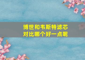 博世和韦斯特滤芯对比哪个好一点呢