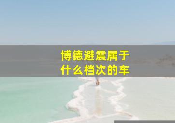 博德避震属于什么档次的车