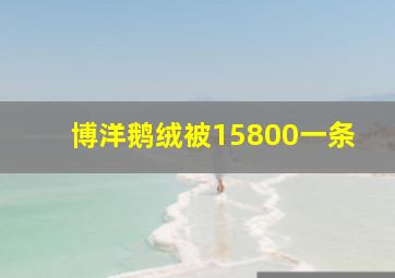 博洋鹅绒被15800一条