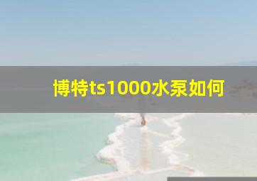 博特ts1000水泵如何