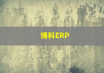 博科ERP