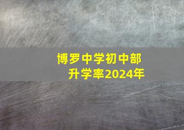 博罗中学初中部升学率2024年