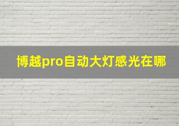 博越pro自动大灯感光在哪