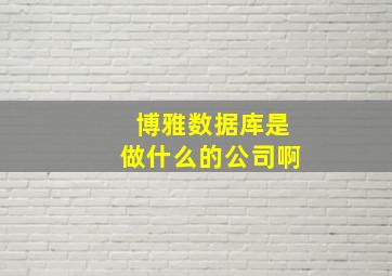 博雅数据库是做什么的公司啊