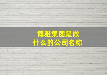 博雅集团是做什么的公司名称