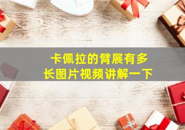 卡佩拉的臂展有多长图片视频讲解一下