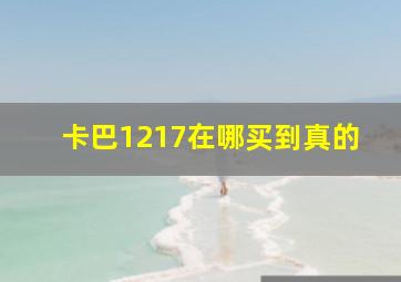 卡巴1217在哪买到真的