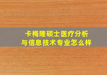 卡梅隆硕士医疗分析与信息技术专业怎么样