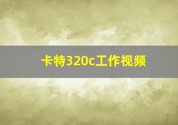 卡特320c工作视频