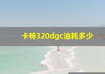 卡特320dgc油耗多少