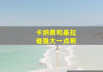 卡纳德和基拉谁强大一点啊