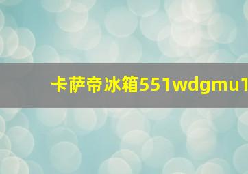 卡萨帝冰箱551wdgmu1