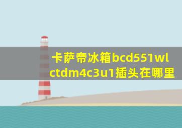 卡萨帝冰箱bcd551wlctdm4c3u1插头在哪里