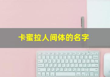 卡蜜拉人间体的名字