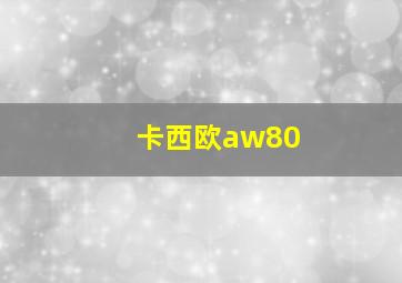 卡西欧aw80