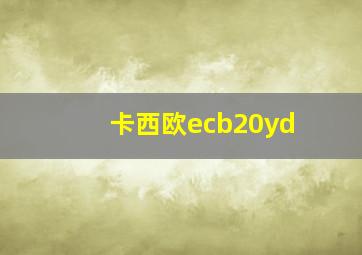 卡西欧ecb20yd