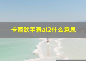 卡西欧手表al2什么意思