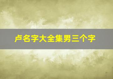 卢名字大全集男三个字