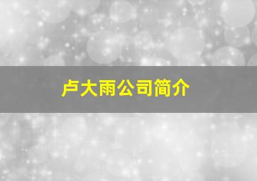 卢大雨公司简介