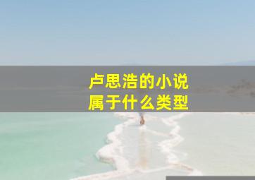 卢思浩的小说属于什么类型