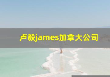 卢毅james加拿大公司