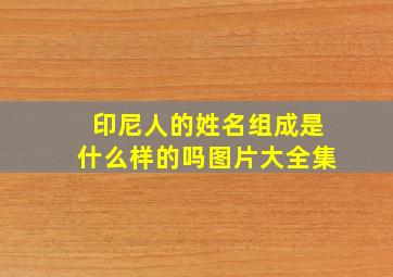 印尼人的姓名组成是什么样的吗图片大全集