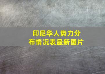 印尼华人势力分布情况表最新图片