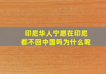 印尼华人宁愿在印尼都不回中国吗为什么呢