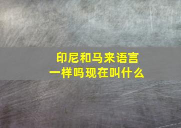 印尼和马来语言一样吗现在叫什么