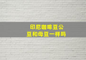 印尼咖啡豆公豆和母豆一样吗