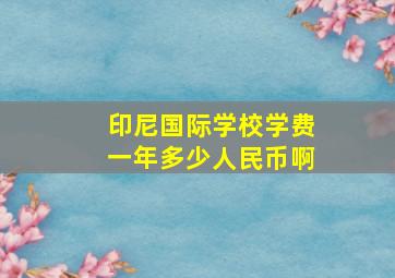 印尼国际学校学费一年多少人民币啊