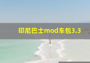 印尼巴士mod车包3.3